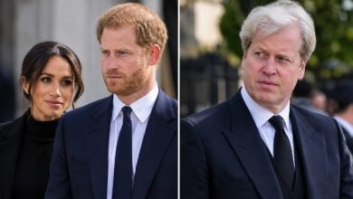 Prince Harry’s Surprising Reaction to Earl Spencer’s Diana Bombshell Finally Revealed