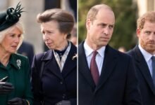 Queen Camilla and Princess Anne Make Surprise Move as King Charles Pushes for William and Harry Reunion