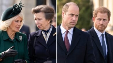 Queen Camilla and Princess Anne Make Surprise Move as King Charles Pushes for William and Harry Reunion