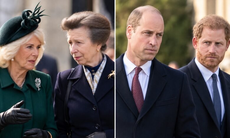 Queen Camilla and Princess Anne Make Surprise Move as King Charles Pushes for William and Harry Reunion
