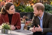 Princess Kate Plans Secret Harry Talks as King Charles Pushes for Diana Anniversary Reunion