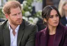 Prince Harry and Meghan Markle Apology Report Takes Dramatic Turn as New Claim Emerges