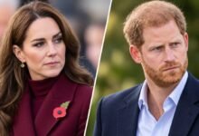 Prince Harry Gives Rare Nod to Princess Kate as Their Shared Focus on Healing Draws Attention