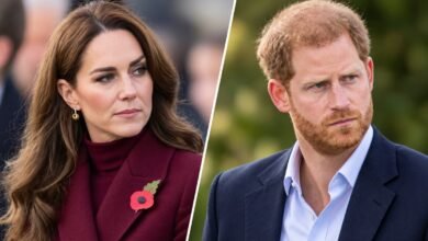 Prince Harry Gives Rare Nod to Princess Kate as Their Shared Focus on Healing Draws Attention