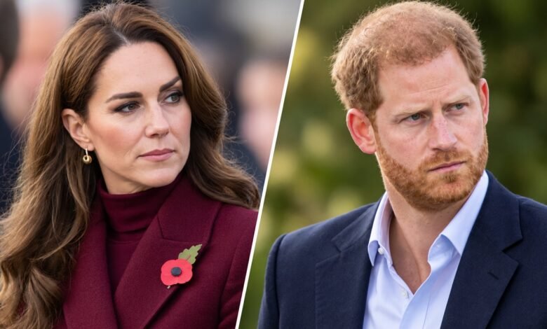 Prince Harry Gives Rare Nod to Princess Kate as Their Shared Focus on Healing Draws Attention