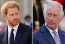 Prince Harry Makes Bold Move Amid King Charles and Earl Spencer’s Explosive War of Words Over Diana