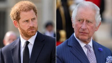 Prince Harry Makes Bold Move Amid King Charles and Earl Spencer’s Explosive War of Words Over Diana