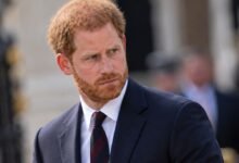 Prince Harry’s Emotional Confession About Absolute Panic During Royal Duties Sparks Fresh Royal Questions