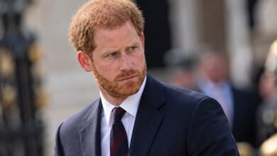 Prince Harry’s Emotional Confession About Absolute Panic During Royal Duties Sparks Fresh Royal Questions