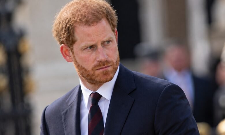 Prince Harry’s Emotional Confession About Absolute Panic During Royal Duties Sparks Fresh Royal Questions