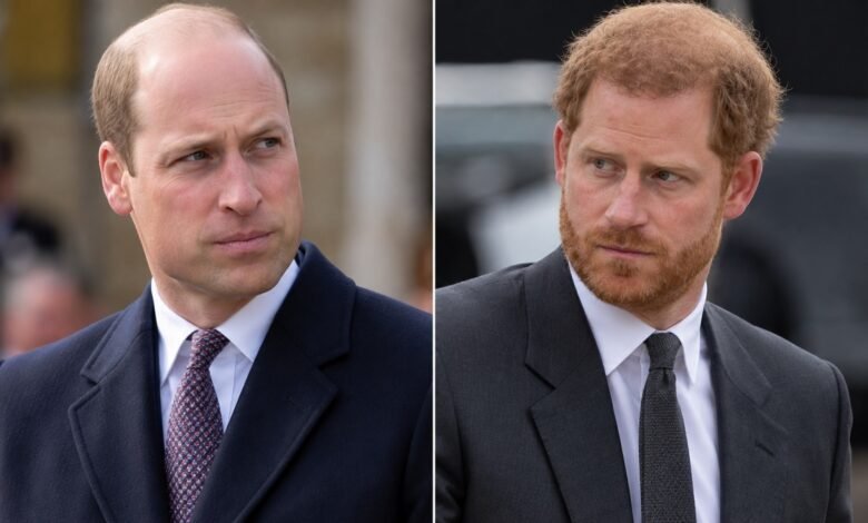 Prince William’s £5,000 Donation for Veterans Draws Attention to a Cause Close to Prince Harry Heart