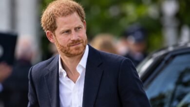 Prince Harry’s £250,000 Diana Interview Sparks Palace Concern Claims as Strict Condition Emerges