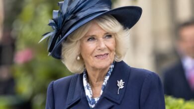 Royal Family Releases Queen Camilla’s Heartwarming Video as Harry’s Latest Appearance Draws Attention