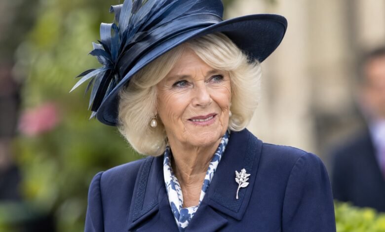 Royal Family Releases Queen Camilla’s Heartwarming Video as Harry’s Latest Appearance Draws Attention