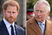 Prince Harry Faces Christmas Setback as King Charles Reportedly Keeps Sandringham Reunion on Hold