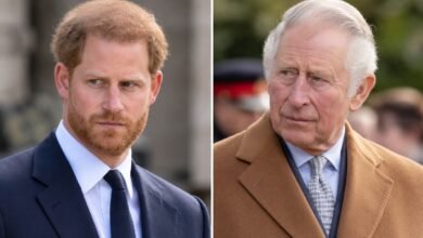 Prince Harry Faces Christmas Setback as King Charles Reportedly Keeps Sandringham Reunion on Hold
