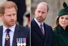 Prince Harry Decided to Keep Prince William and Kate Out of His Latest Public Discussion
