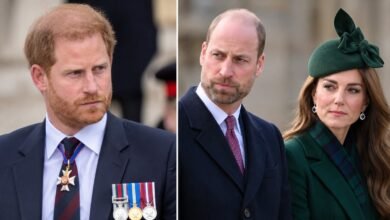 Prince Harry Decided to Keep Prince William and Kate Out of His Latest Public Discussion