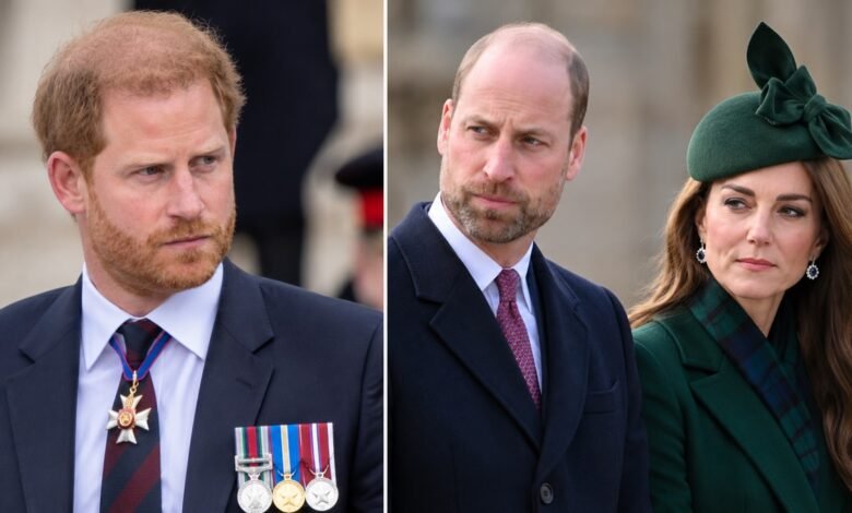 Prince Harry Decided to Keep Prince William and Kate Out of His Latest Public Discussion