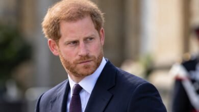 Prince Harry Confirms Documentary Plans as Royal Family Faces Fresh Questions Over His Next Move