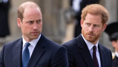Prince William and Prince Harry Reportedly Uncomfortable After SNL UK Mocks Their Feud