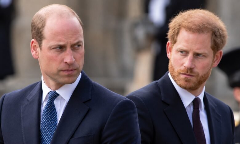 Prince William and Prince Harry Reportedly Uncomfortable After SNL UK Mocks Their Feud