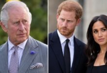 King Charles’s Team Shares Christmas Update as Harry and Meghan Reunion Questions Grow