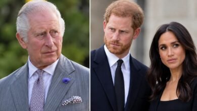 King Charles’s Team Shares Christmas Update as Harry and Meghan Reunion Questions Grow