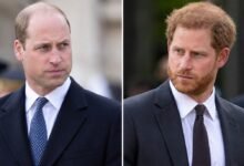 Prince William and Prince Harry Reunion Faces Fresh Setback as Poll Delivers Unexpected Verdict