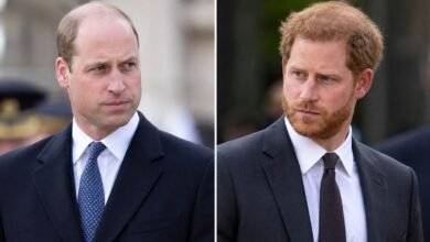 Prince William and Prince Harry Reunion Faces Fresh Setback as Poll Delivers Unexpected Verdict
