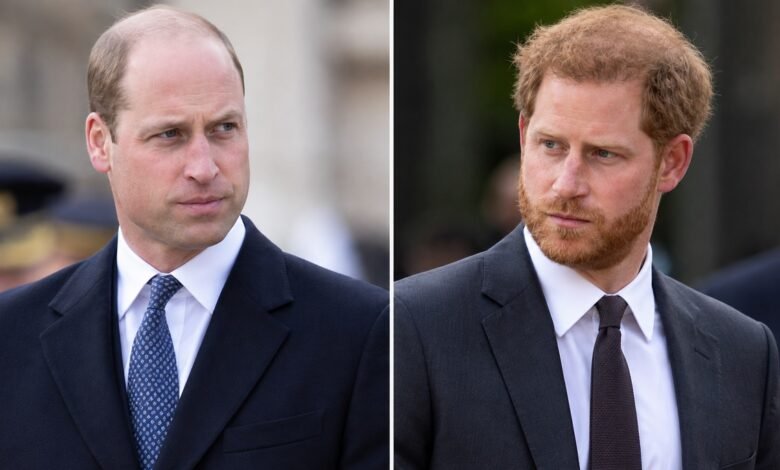 Prince William and Prince Harry Reunion Faces Fresh Setback as Poll Delivers Unexpected Verdict