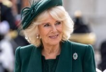 Queen Camilla Makes Unity Move as Prince William and Harry Reunion Speculation Grows
