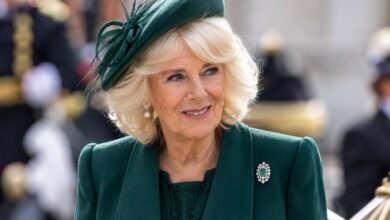 Queen Camilla Makes Unity Move as Prince William and Harry Reunion Speculation Grows