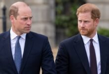 Prince William’s Silent Treatment Leaves Harry Frustrated as Fresh Tell All Fears Emerge