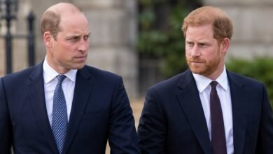 Prince William’s Silent Treatment Leaves Harry Frustrated as Fresh Tell All Fears Emerge