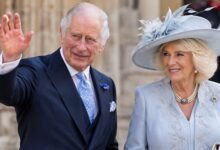 King Charles and Queen Camilla Share New Photos Hours After Harry and Meghan’s Nottingham Visit