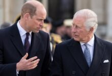 Prince William Resists King Charles as Prince Harry Reunion Hopes Hit Fresh Roadblock