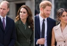 Prince William and Princess Kate Extend Olive Branch to Prince Harry and Meghan With Quiet Royal Visit