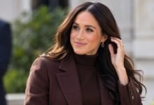 Meghan Markle Delights Fans With Festive Update as Royal Comeback Speculation Grows