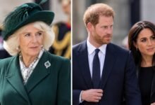 Queen Camilla Could Hold the Key to Prince Harry and Meghan Markle’s Reunion with King Charles
