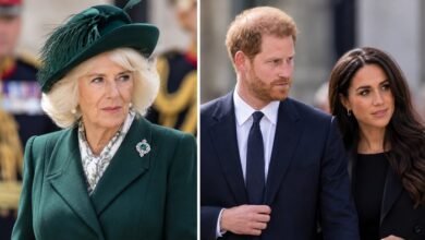 Queen Camilla Could Hold the Key to Prince Harry and Meghan Markle’s Reunion with King Charles