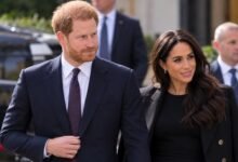Former Kensington Palace Aide Steps In for Prince Harry and Meghan Markle During Nottingham Walkabout
