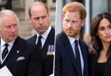 King Charles Under Pressure to Stop Prince William’s Drastic Move Against Prince Harry and Meghan