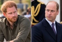 Prince Harry’s Diana Documentary Plans Could Deepen Rift With Brother Prince William