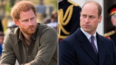 Prince Harry’s Diana Documentary Plans Could Deepen Rift With Brother Prince William
