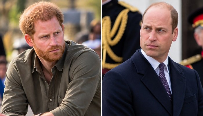 Prince Harry’s Diana Documentary Plans Could Deepen Rift With Brother Prince William