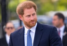 Prince Harry Gets Crucial Sentebale Legal Update as Charity Pauses Court Action