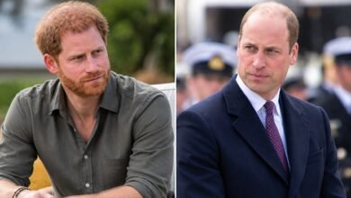 Prince Harry Breaks Silence on William Rift With Emotional Message: ‘I Want It to Work Out’