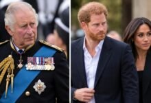 King Charles Takes Firm Action Amid Prince Harry and Meghan Markle Royal Title Debate