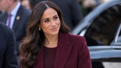 Meghan Markle Teases Big Surprise as Prince Harry Renews Call to Prince William for Reconciliation